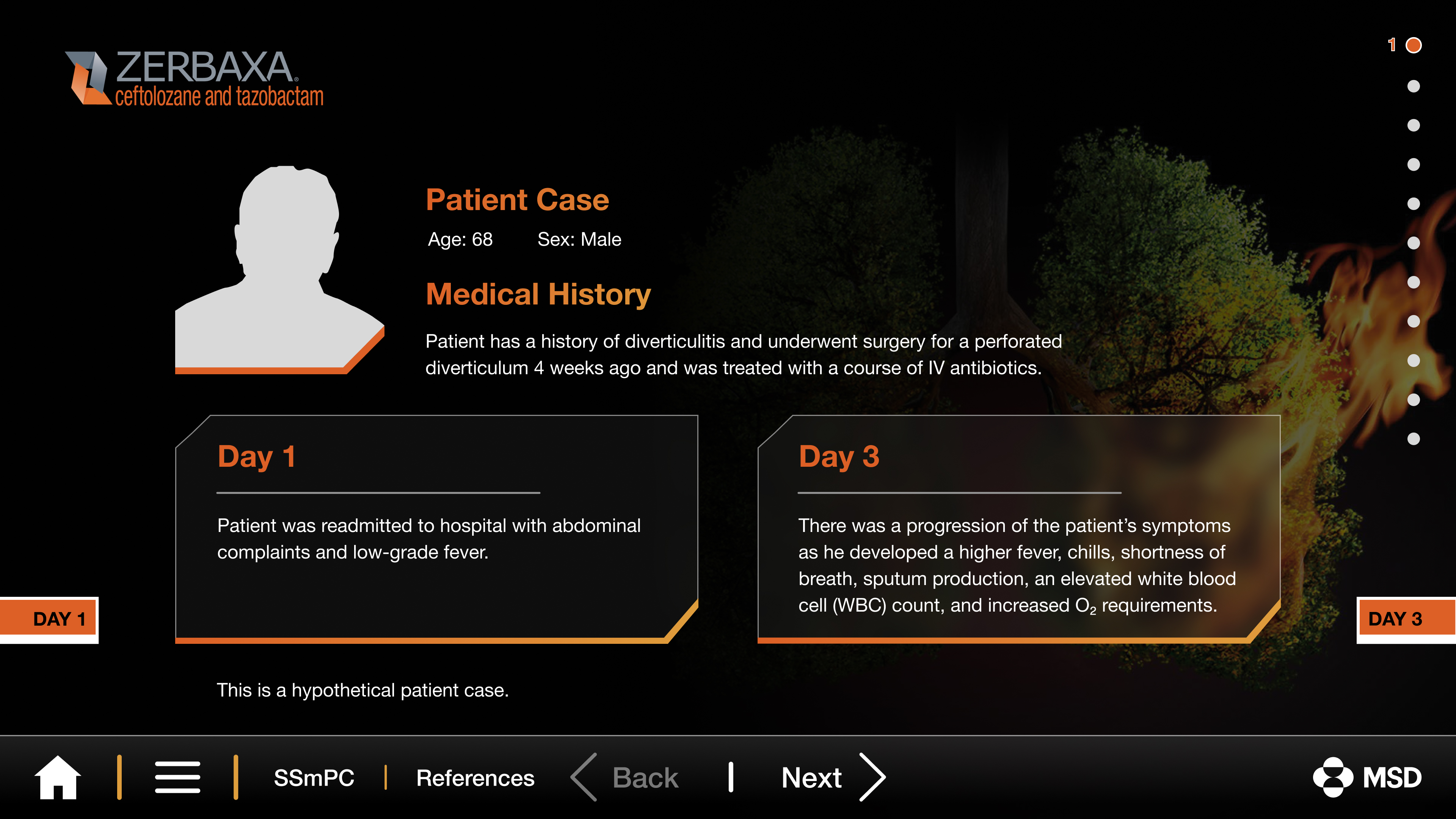 Adidas layout variation 1