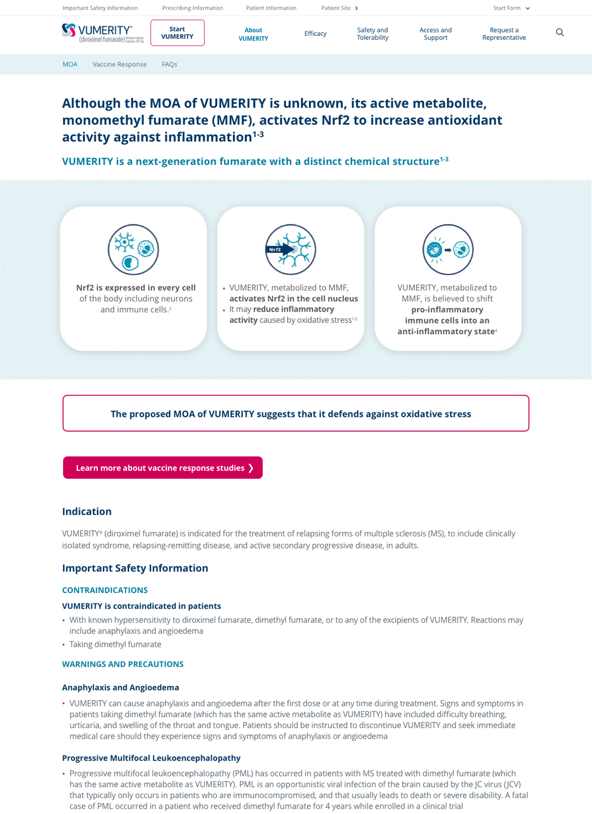 Adidas layout variation 2